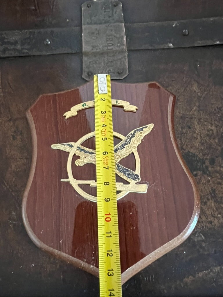 🔴 Crest GUARDIA FINANZA ITALIANA A.TP.I. anti terrorismo pronto intervento