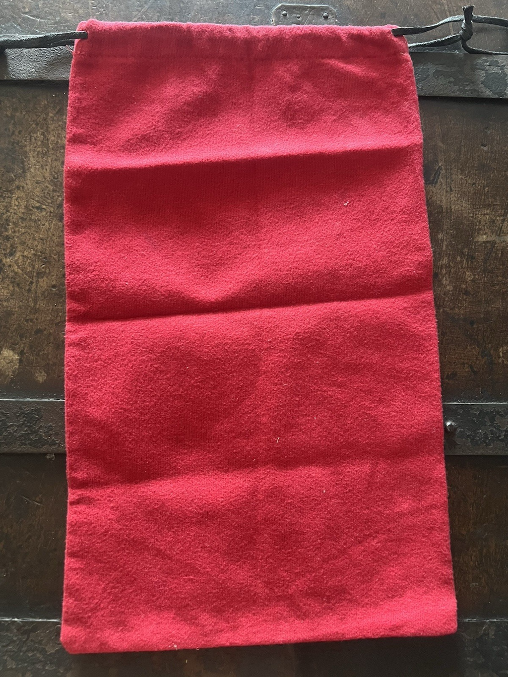 🔴 VALENTINO GRAVANI sacca borsa accessori anti polvere o viaggio L 20 h 33 cm