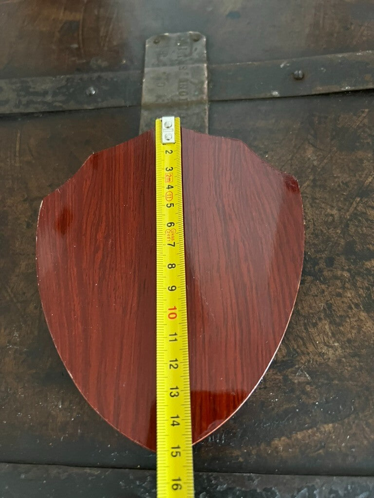 🔴 Crest GODOF UNITA' SPECIALI scudo legno lucidato con metallo smalti h 15