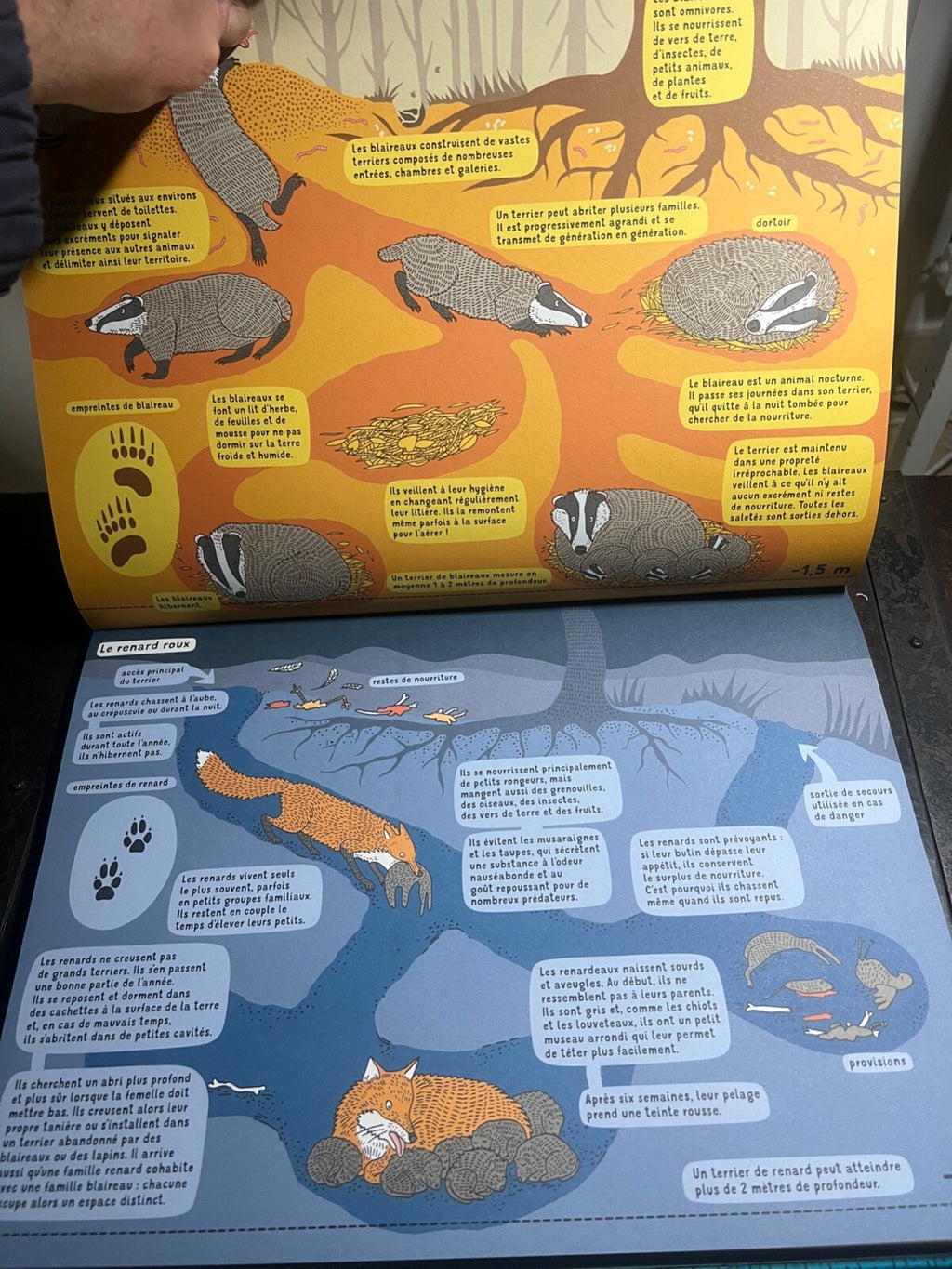 🔴 EAU TERRE book Aleksandra and Daniel Mizielinska French illustrated in color 