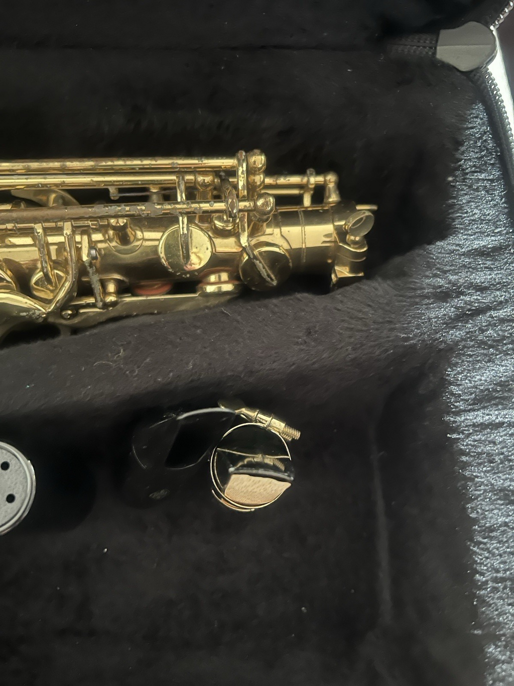 🔴 ROY BENSON Altsaxophon AS202 aus Messing, komplett mit Koffer und Mundstück 