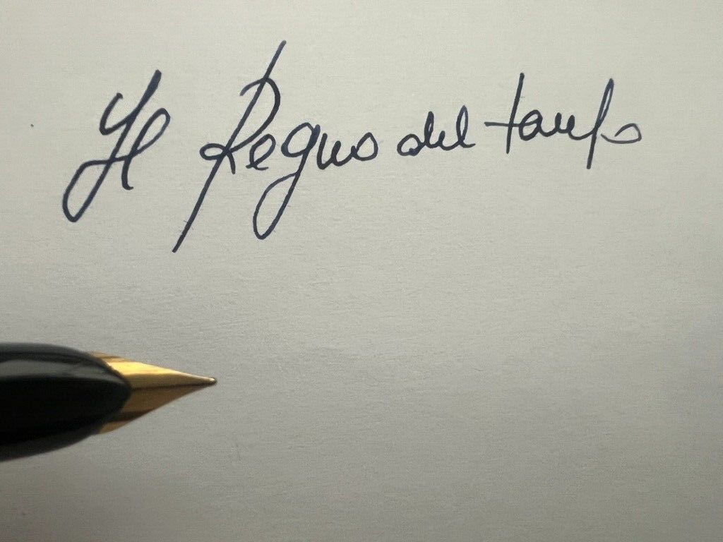 Waterman Stylo-Plume Stylo à Plume Flash Avec Porte-Clé Porte- Cartouches Etui