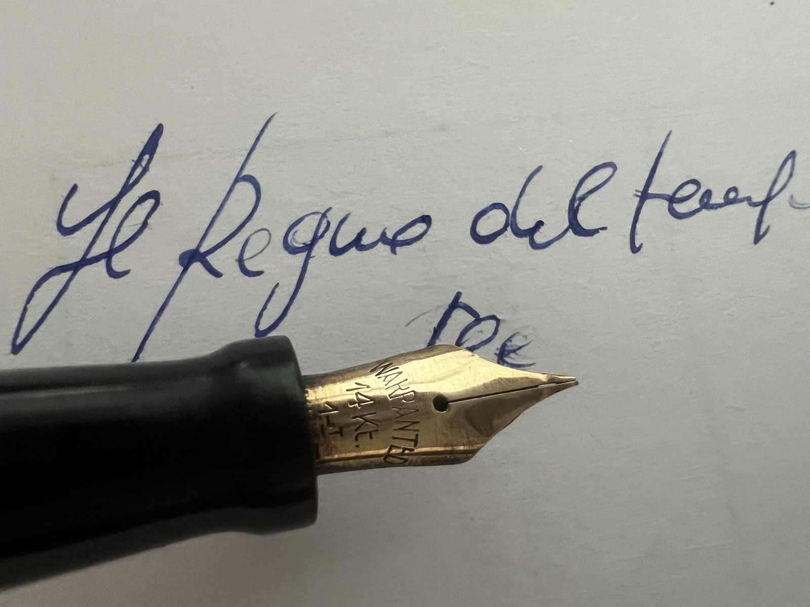 🔴 ALPINA penna stilografica celluloide pennino ORO 14 KT scrive F vintage '50