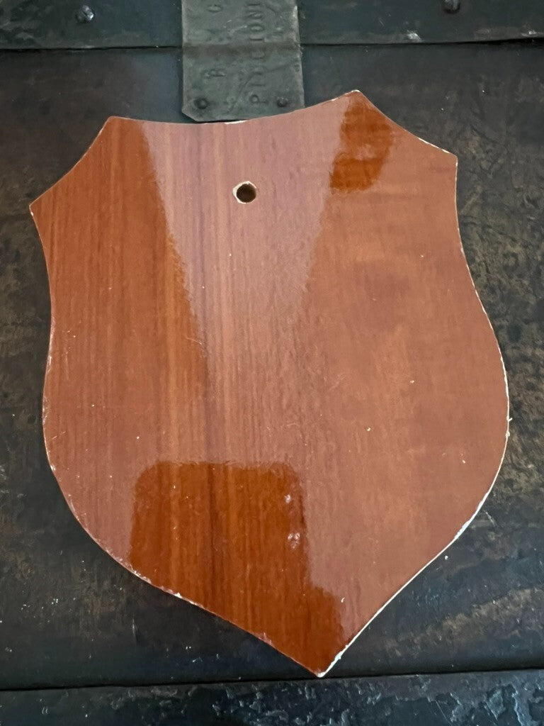 🔴 Crest REGGIMENTO LAGUNARE SERENISSIMA SAN MARCO scudo legno metallo h 15