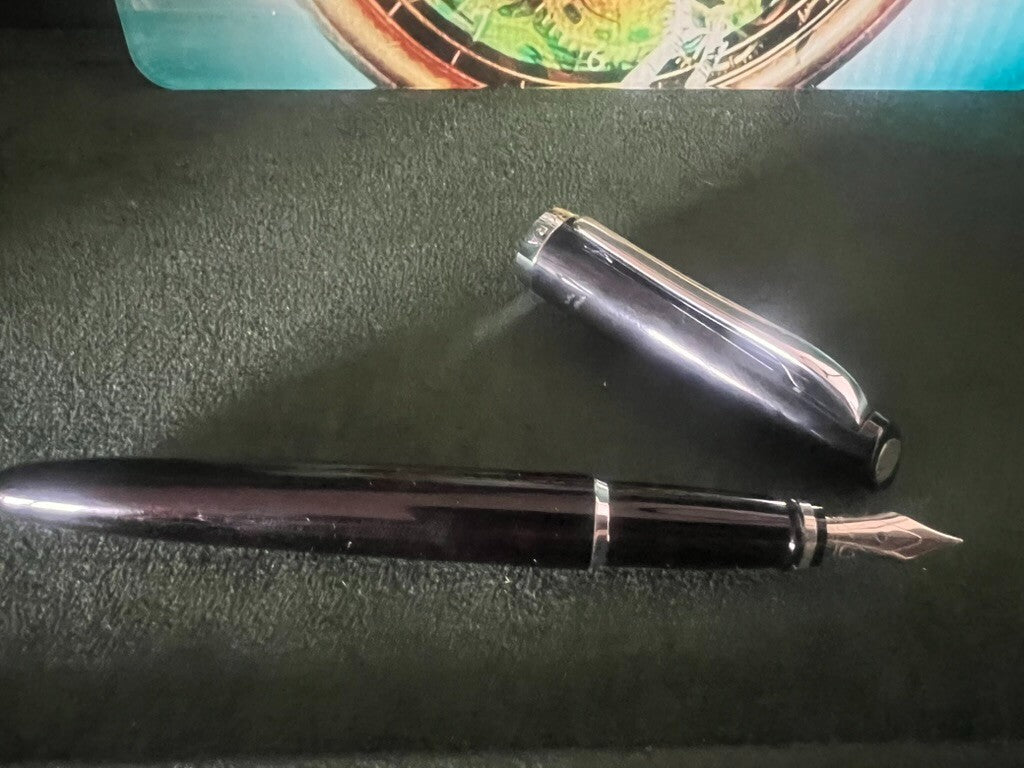 🔴 AURORA penna stilografica Style nera brillante pennino F a cartuccia