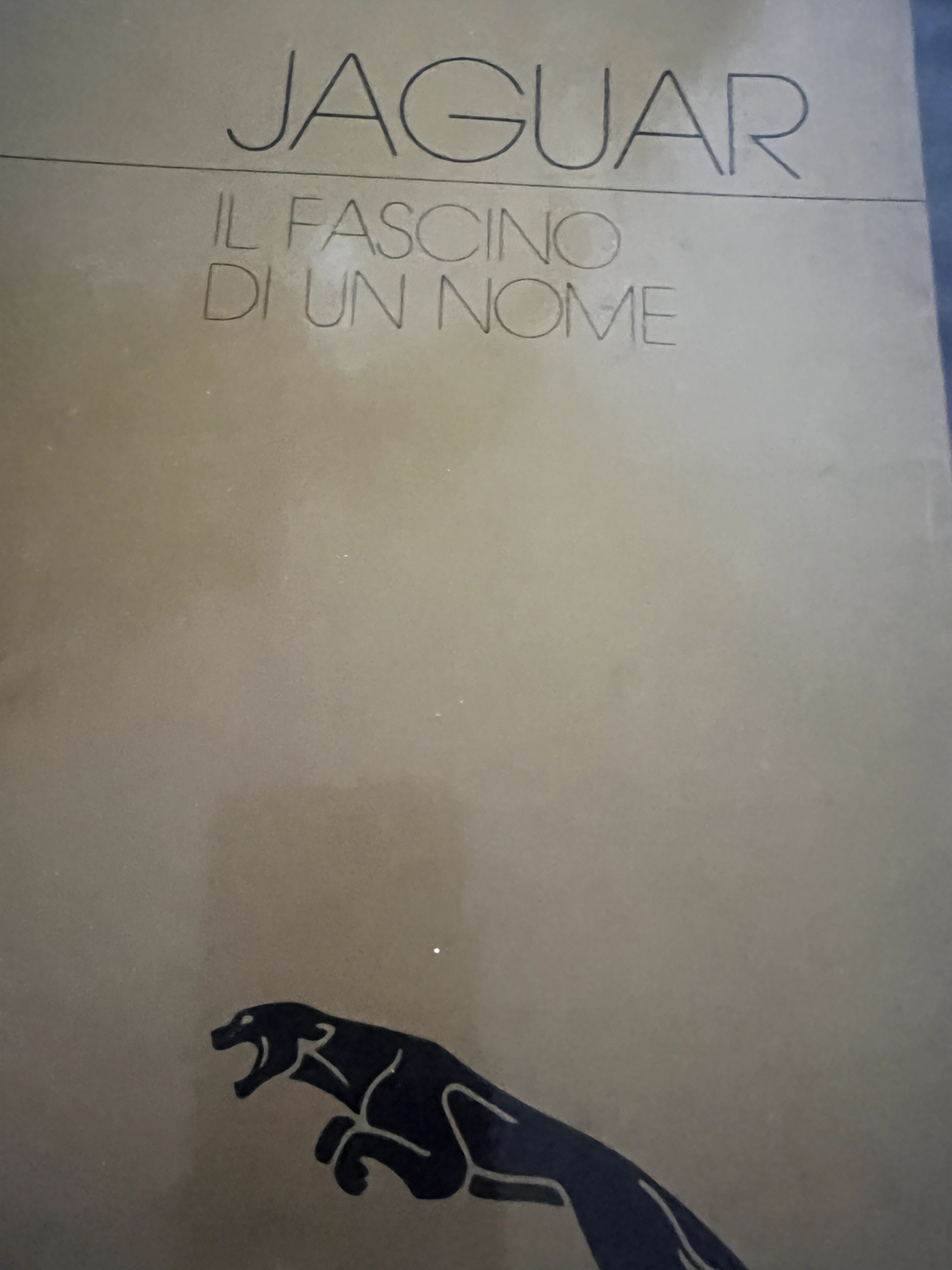🔴 JAGUAR Autokatalog, das charmante Buch mit dem Namen Piero Casucci, 1979, offiziell 