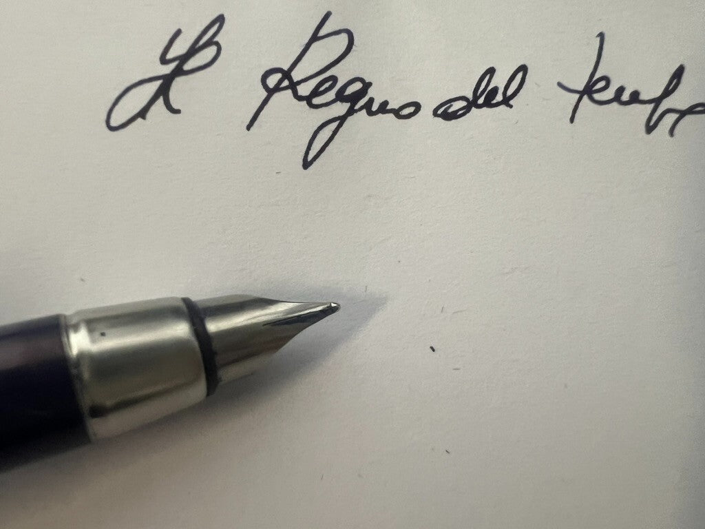 🔴 PARKER penna stilografica 25 cromata sigillo BLU a cartuccia vintage 1970