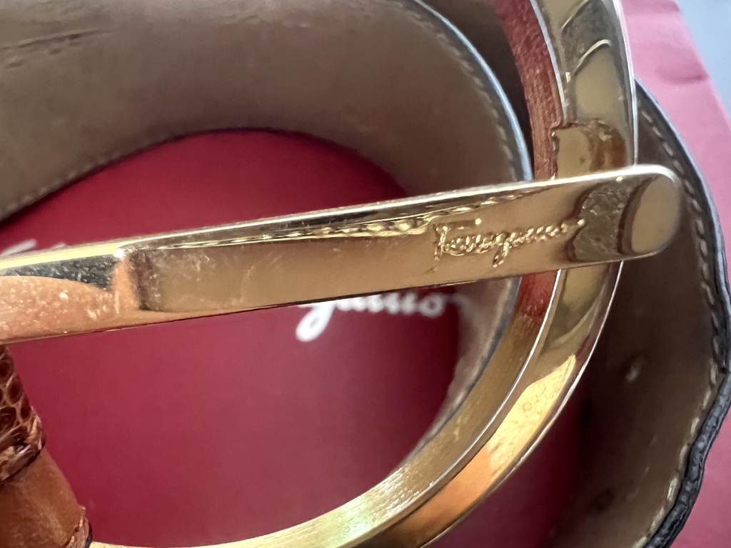 Salvatore Ferragamo Woman Belt Brown Hooks Golden With Signs L 87