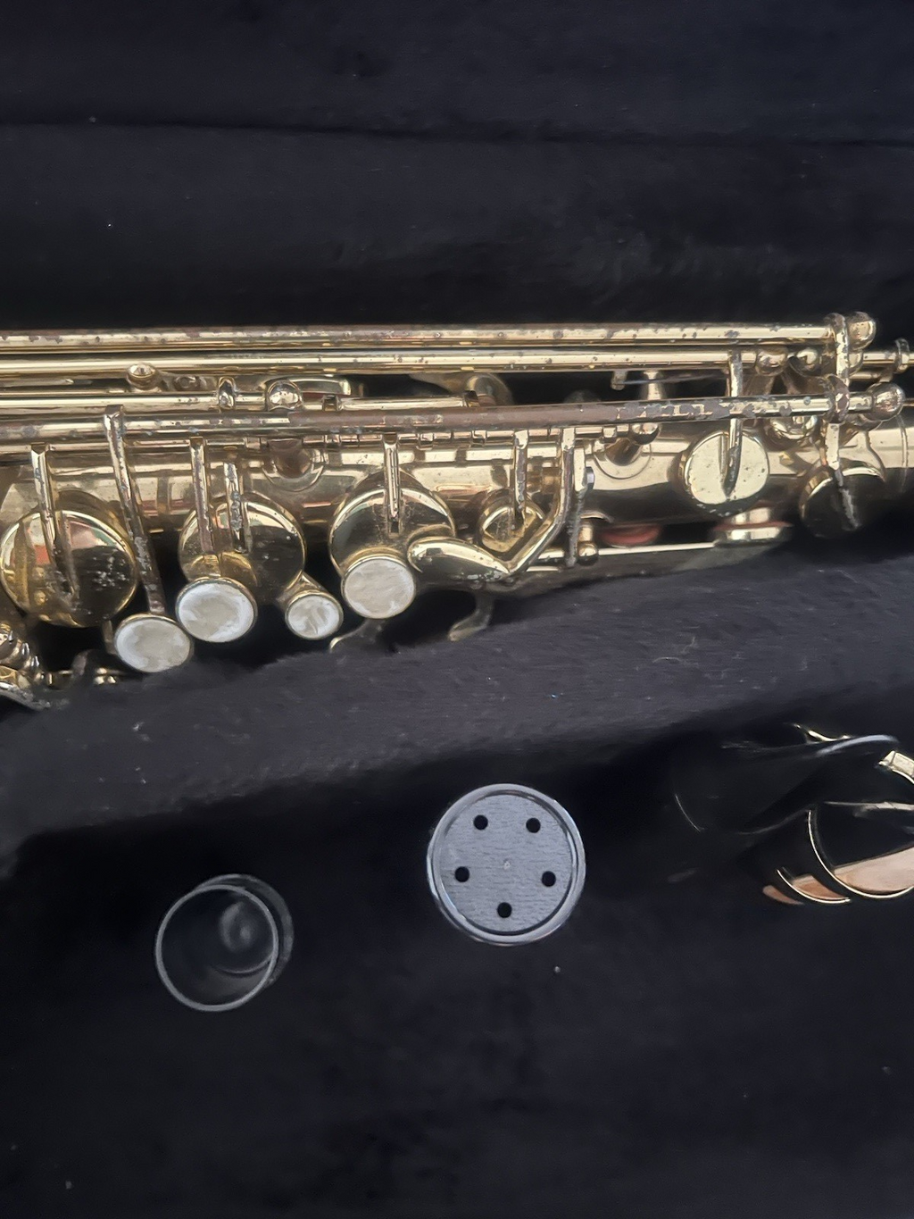 🔴 ROY BENSON Altsaxophon AS202 aus Messing, komplett mit Koffer und Mundstück 