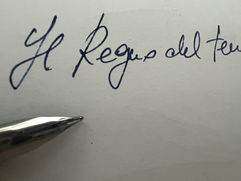 🔴 WATERMAN penna stilografica lacca blu profili cromati a cartuccia pennino F