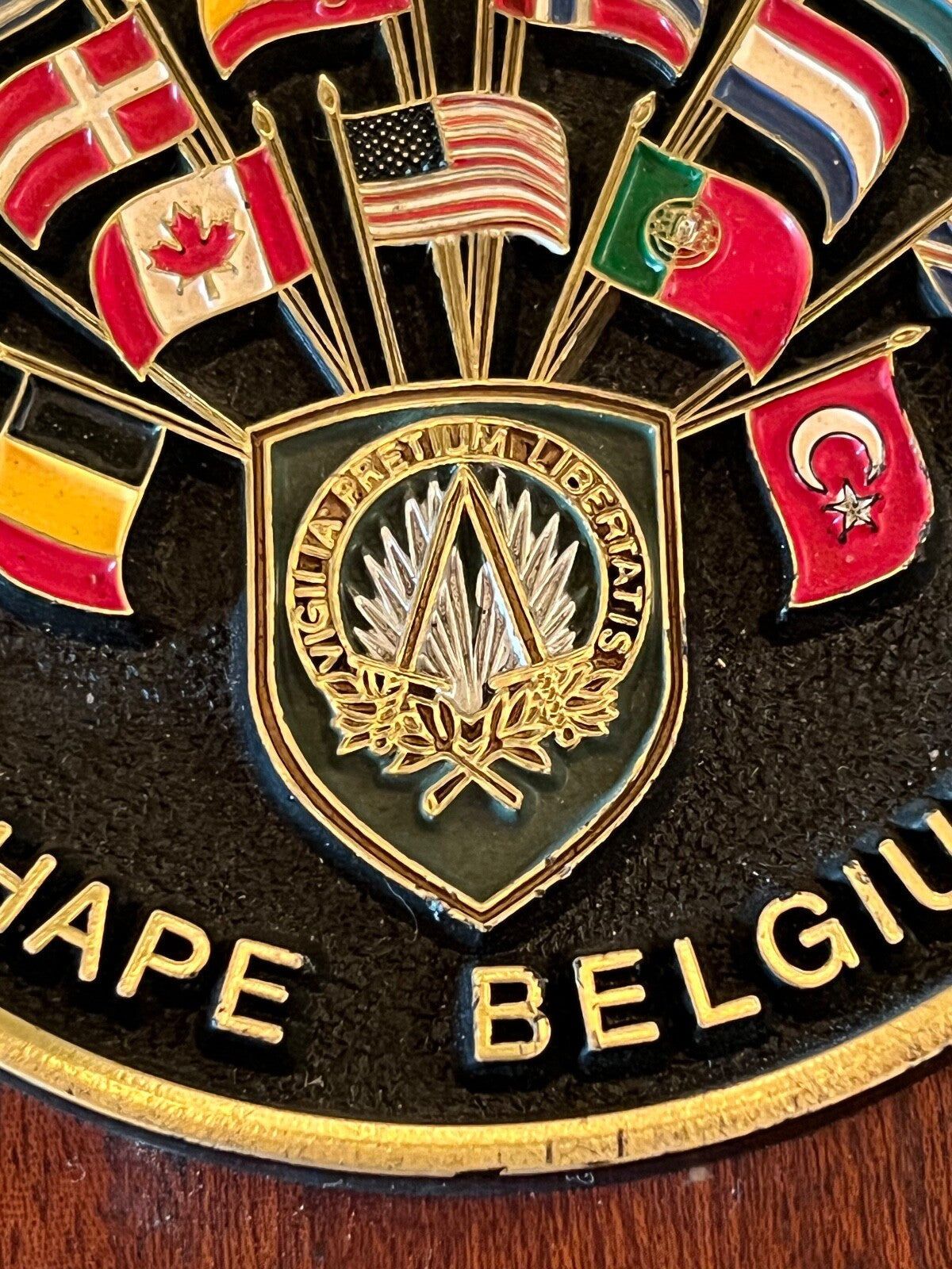 🔴 Wappen NATO-MITGLIEDSCHAFT UNGARN Form Belgischer Schild Holz Original Vintage 