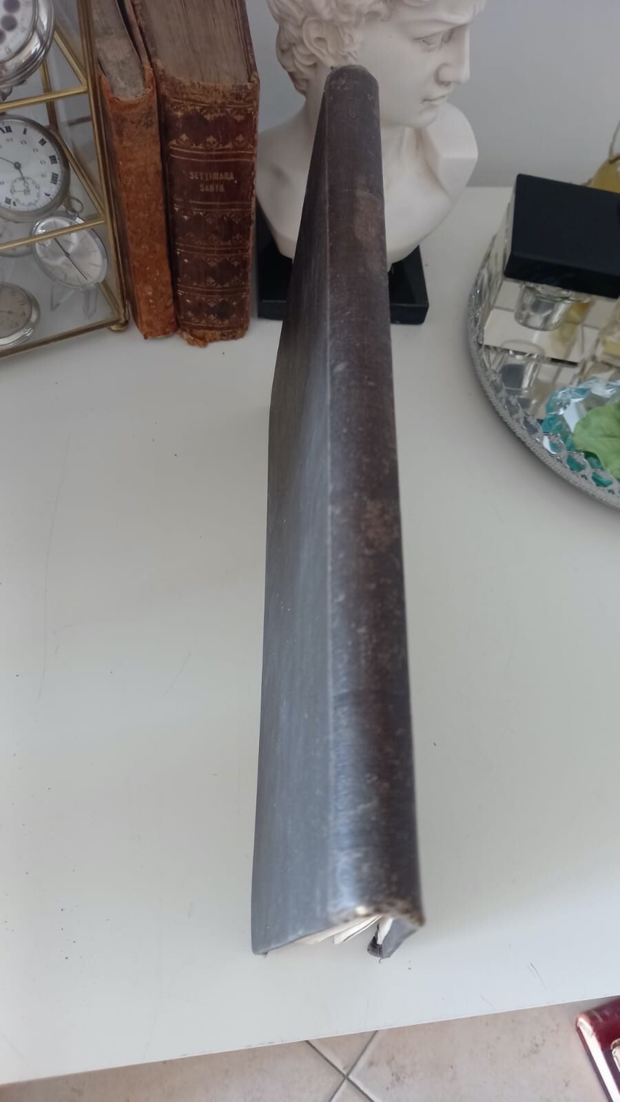 🔴 Libro ANATOMIA e FISIOLOGIA animali domestici agricoli Varaldi vintage 1900