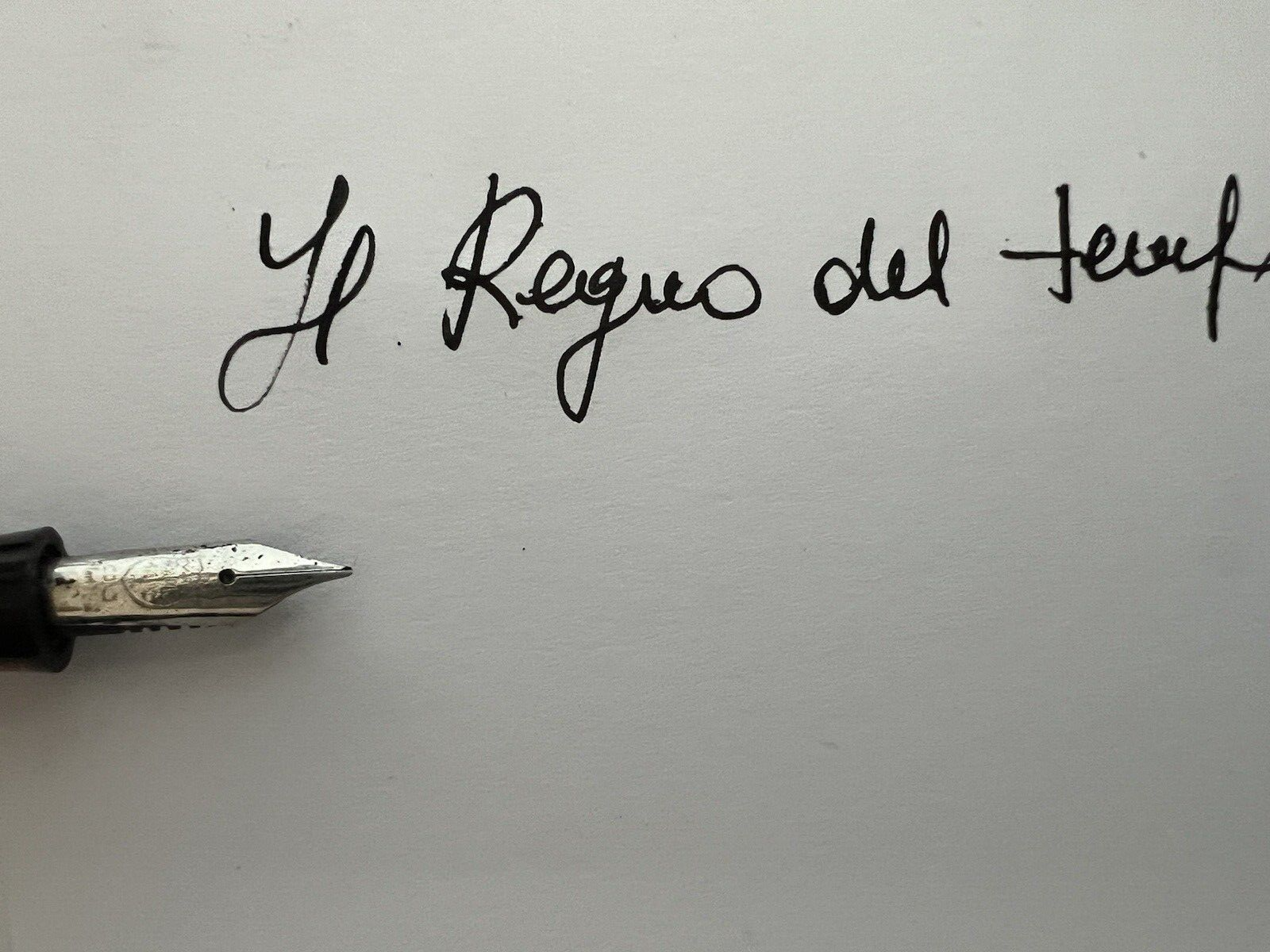 Excelsior Stylo-Plume Stylo à Plume Celluloïd Marbré Piston Vintage Text 