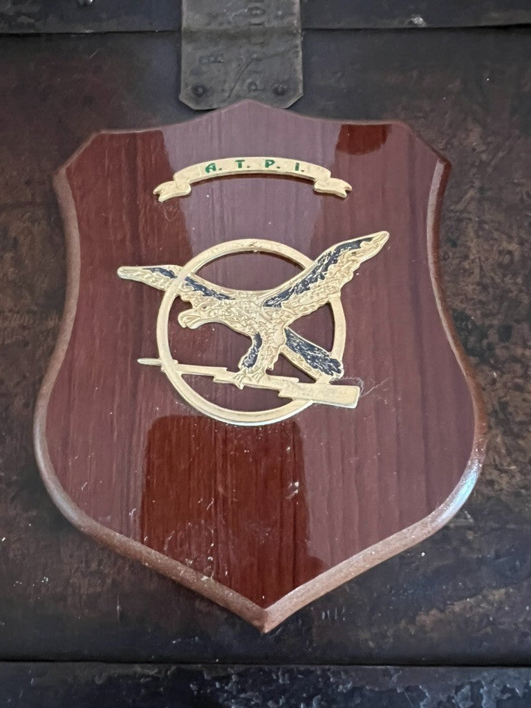 🔴 Crest GUARDIA FINANZA ITALIANA A.TP.I. anti terrorismo pronto intervento