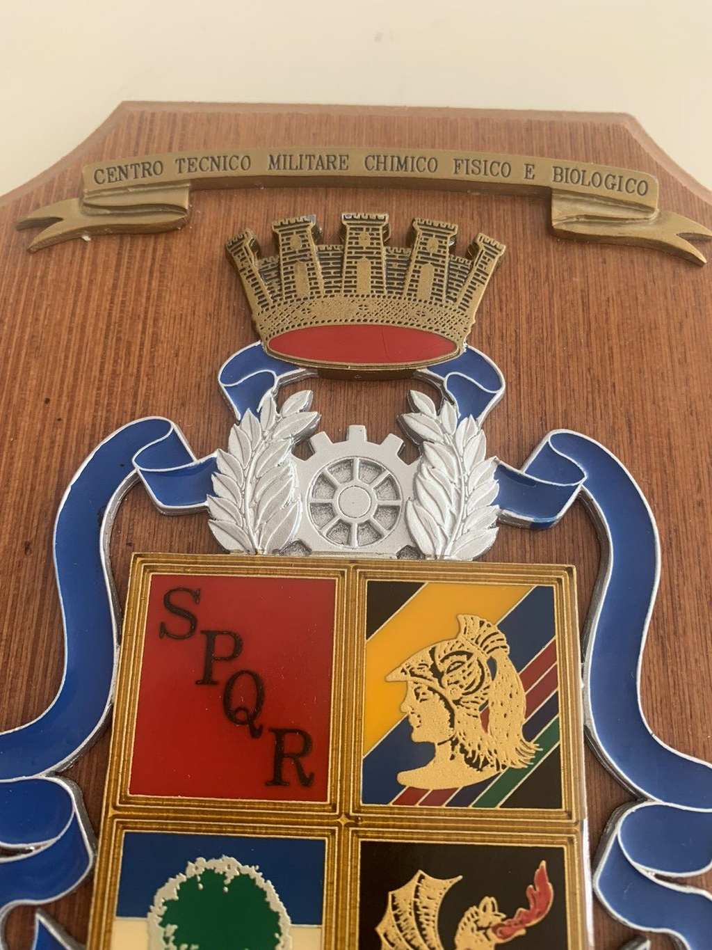 🔴 CREST MILITARE scudo Tecnico Militare Chimico Fisico Biologico Roma SPQR