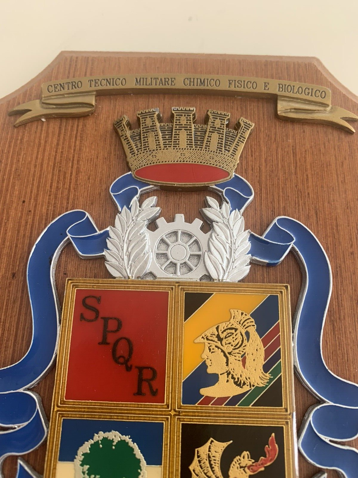 🔴 CREST MILITARE scudo Tecnico Militare Chimico Fisico Biologico Roma SPQR