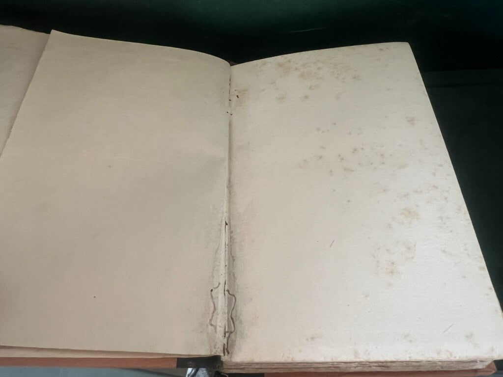 🔴 Buch DAS SCHLOSS VON OTRANTO von Caroline Spurgeton in englischer Sprache aus dem Jahr 1929 