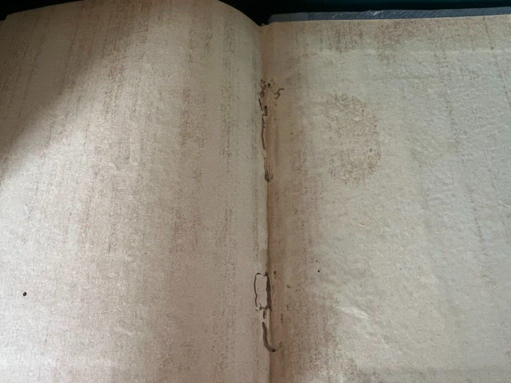 🔴 Libro DON CHISCIOTTE di Edoardo Scarfoglio Il Mattino del 1911