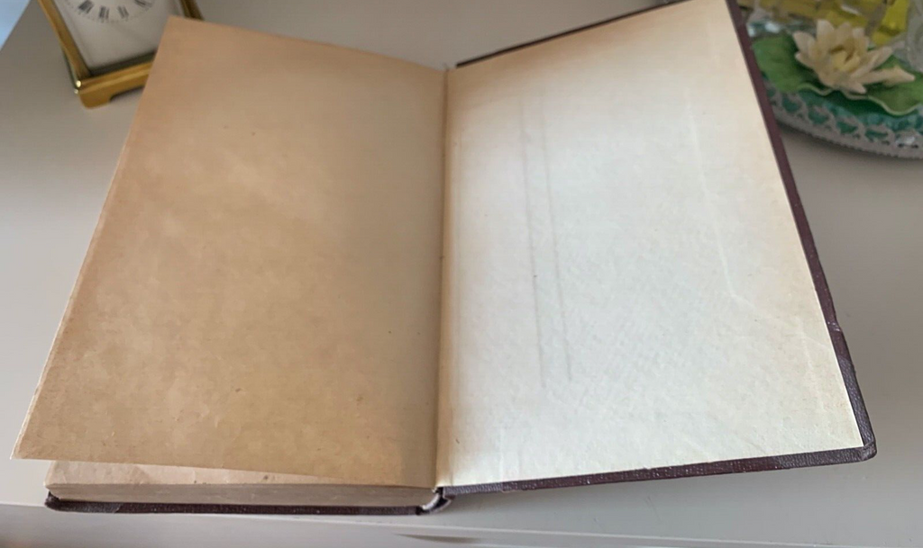 Livre Biographies Populaires Des Papes De Piombanti Livorno Antique 1887 