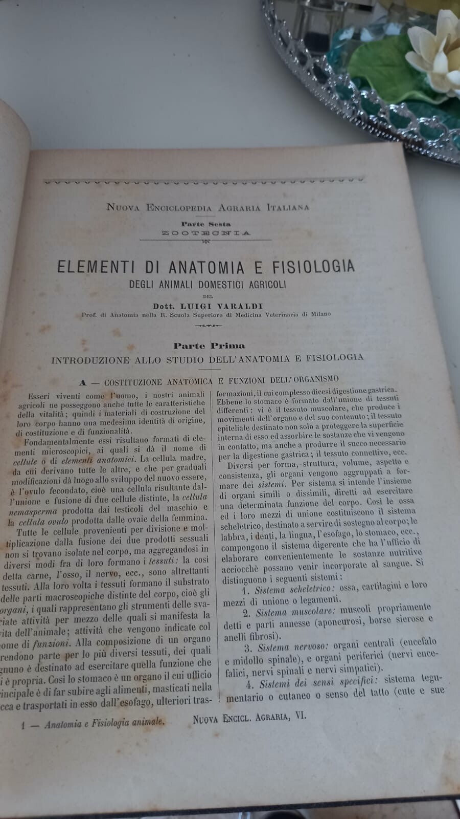 🔴 Libro ANATOMIA e FISIOLOGIA animali domestici agricoli Varaldi vintage 1900