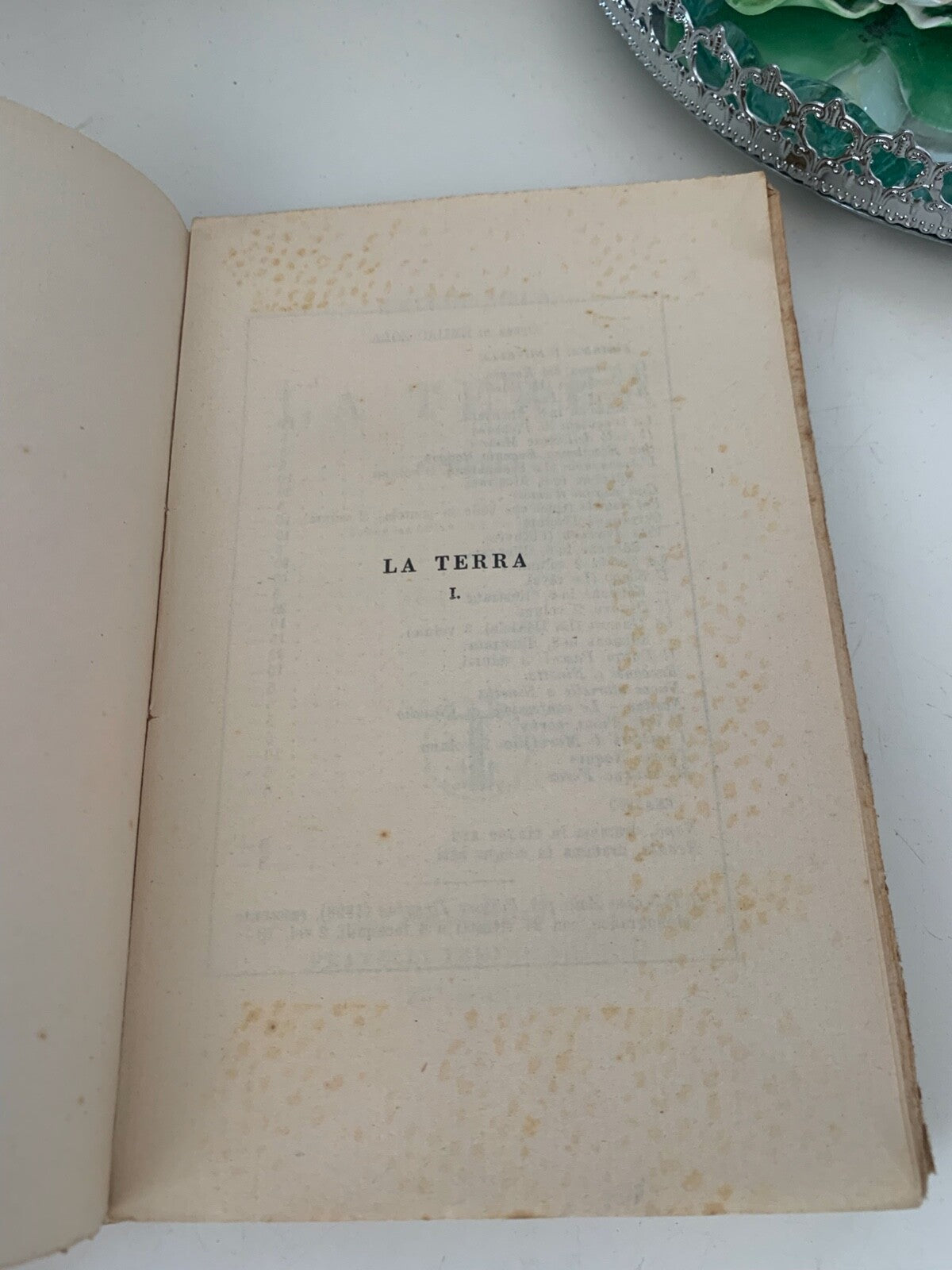 Livres Romans la Terre Emilio Zola Treves Editore Époque 1929