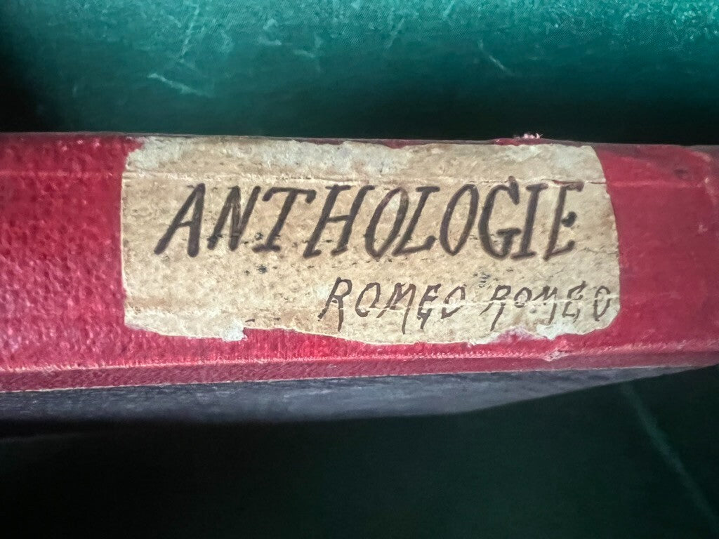 🔴 Libro ANTHOLOGIE novelle francese italiano in prosa Romeo del 1894