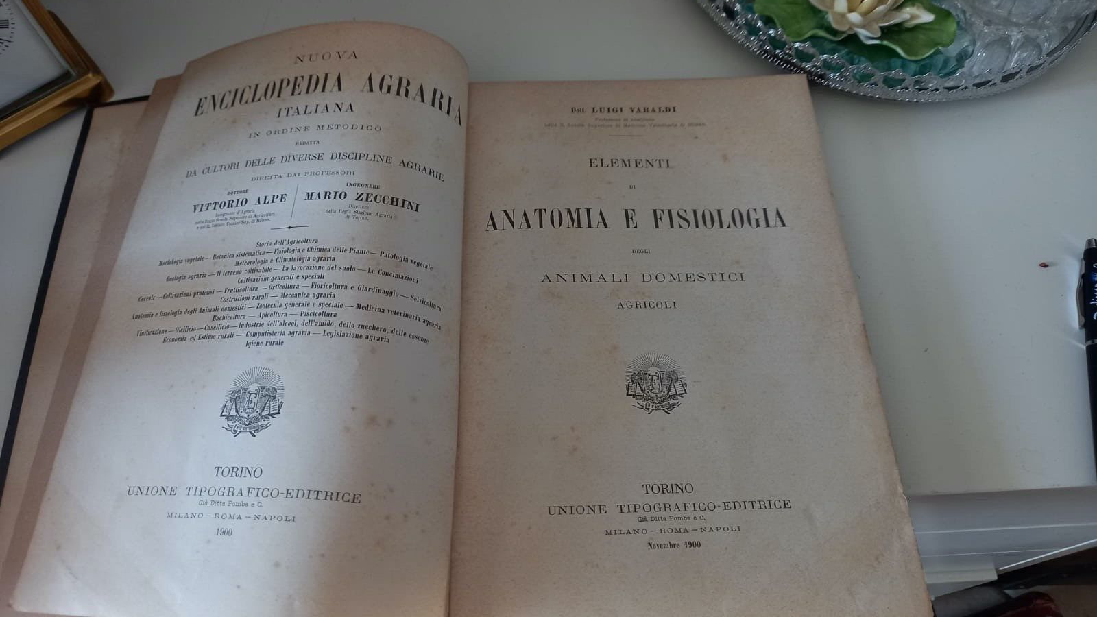 🔴 Book ANATOMY and PHYSIOLOGY of agricultural domestic animals Varaldi vintage 1900 