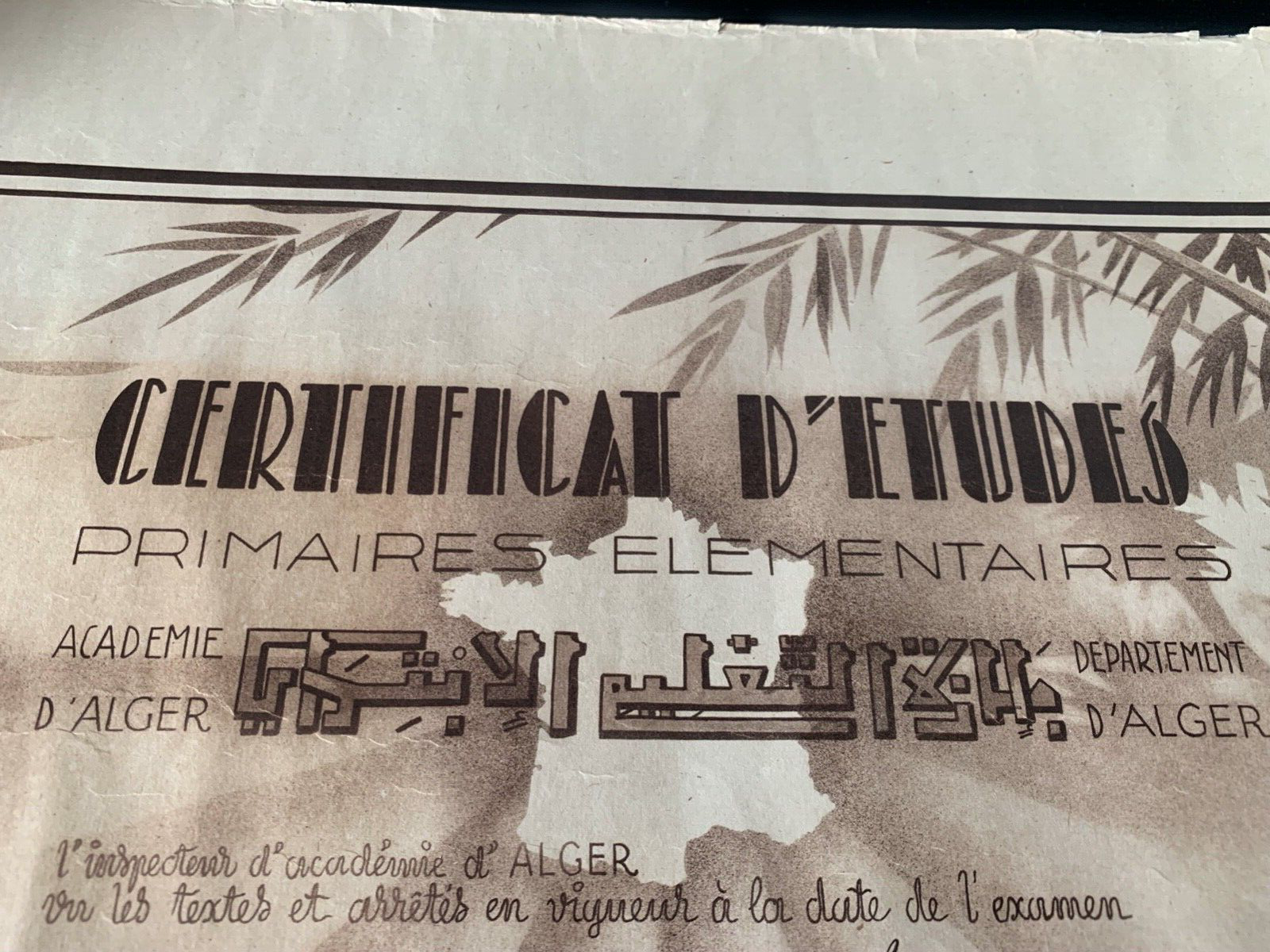 Impression Diplôme Élémentaire Algérie en Français Herkunftstitel 1954 