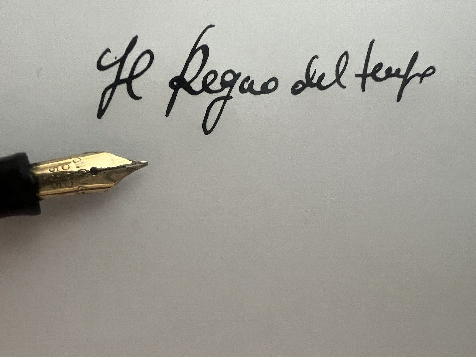 WATERMAN'S Pen Fountain Pen Celluloid Lever Pen Longines Gold Marking
