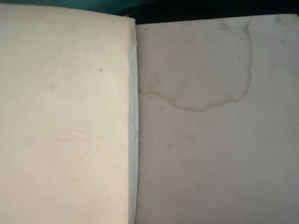 🔴 Buch UNSER DORF Mary Russel Mitford Englischsprachiges SELTENES antikes Buch von 1870 