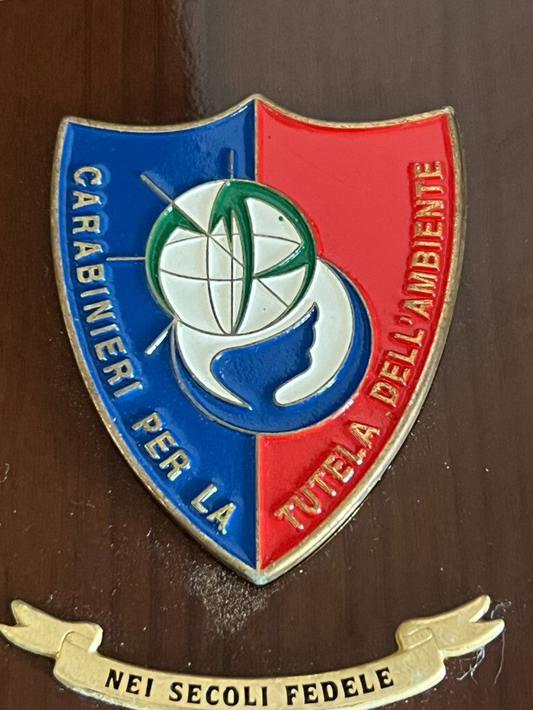 Crest Carabinieri Profilé Piéce Bouclier Bois Poli Métal Vernis Hauteur 15