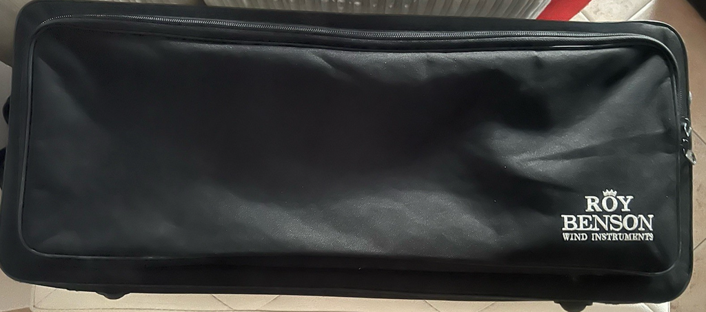 🔴 ROY BENSON Altsaxophon AS202 aus Messing, komplett mit Koffer und Mundstück 
