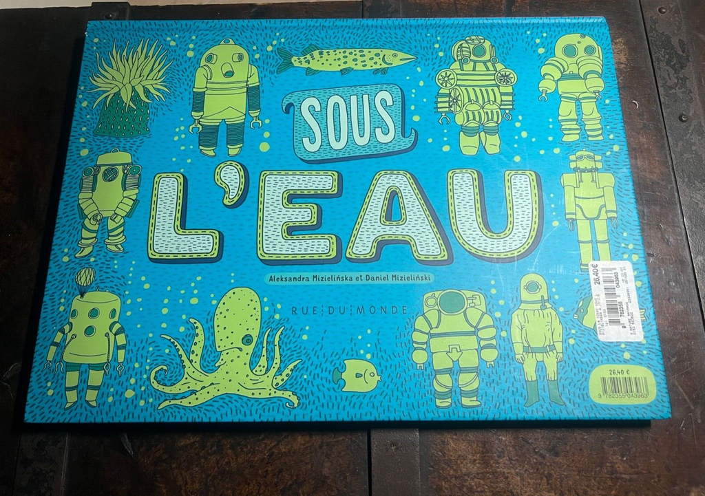 Livre Eau Terre Aleksandra Et Daniel Mizielinska Français Illustré en Couleurs