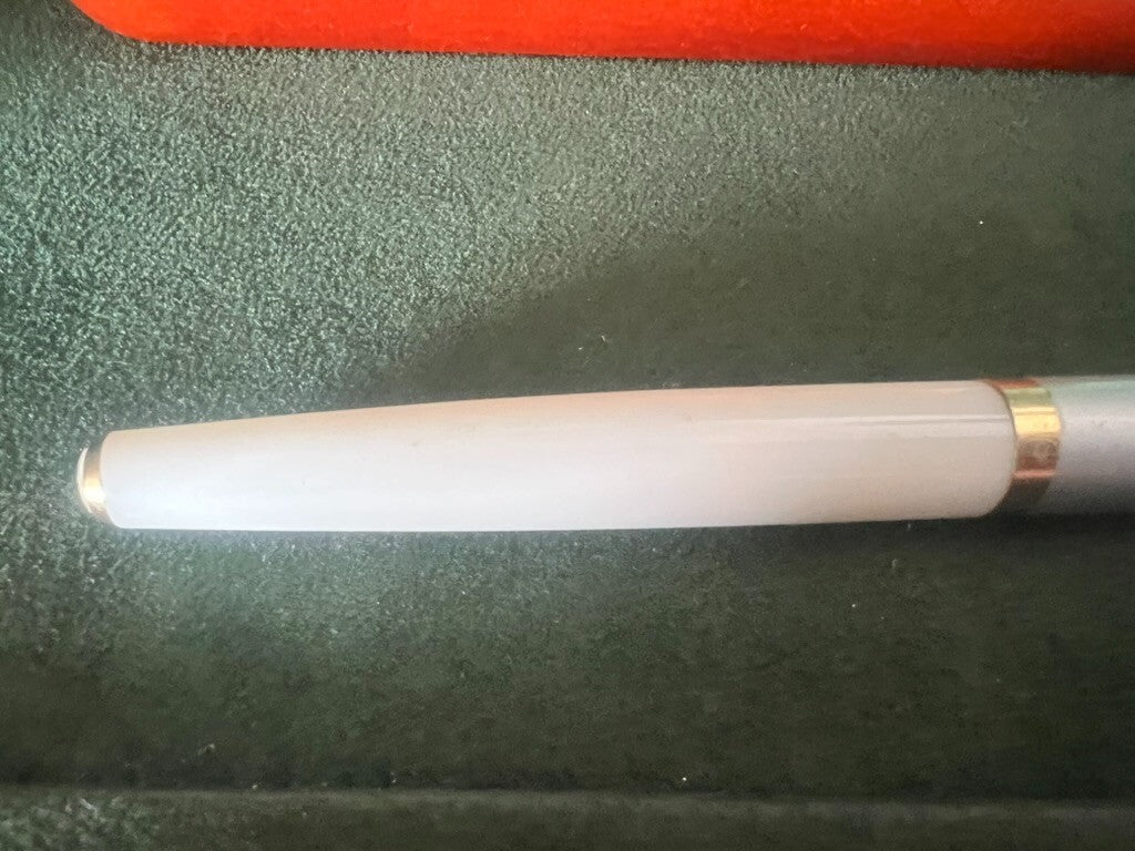 🔴 Penne stilografiche blu bianca a pistone scrivono per inchiostro vintage B