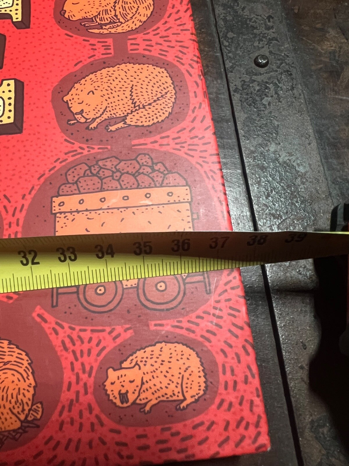 🔴 EAU TERRE book Aleksandra and Daniel Mizielinska French illustrated in color 