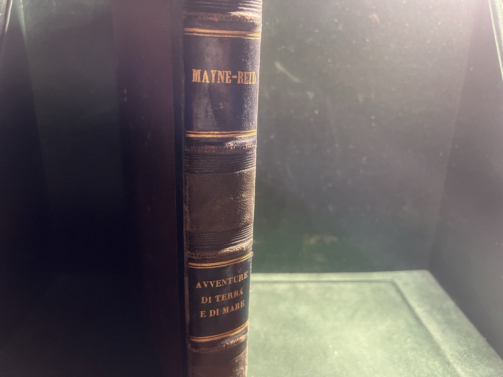 🔴 Libro IN MARE Mayne Reid in lingua italiana incisioni grande antico 1877