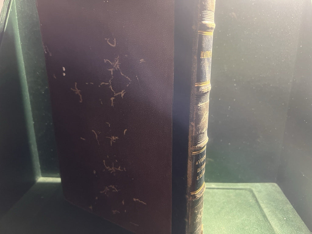 Livre en Mer Mayne Reid En Lingua Italiana Gravure Grand Antique 1877 