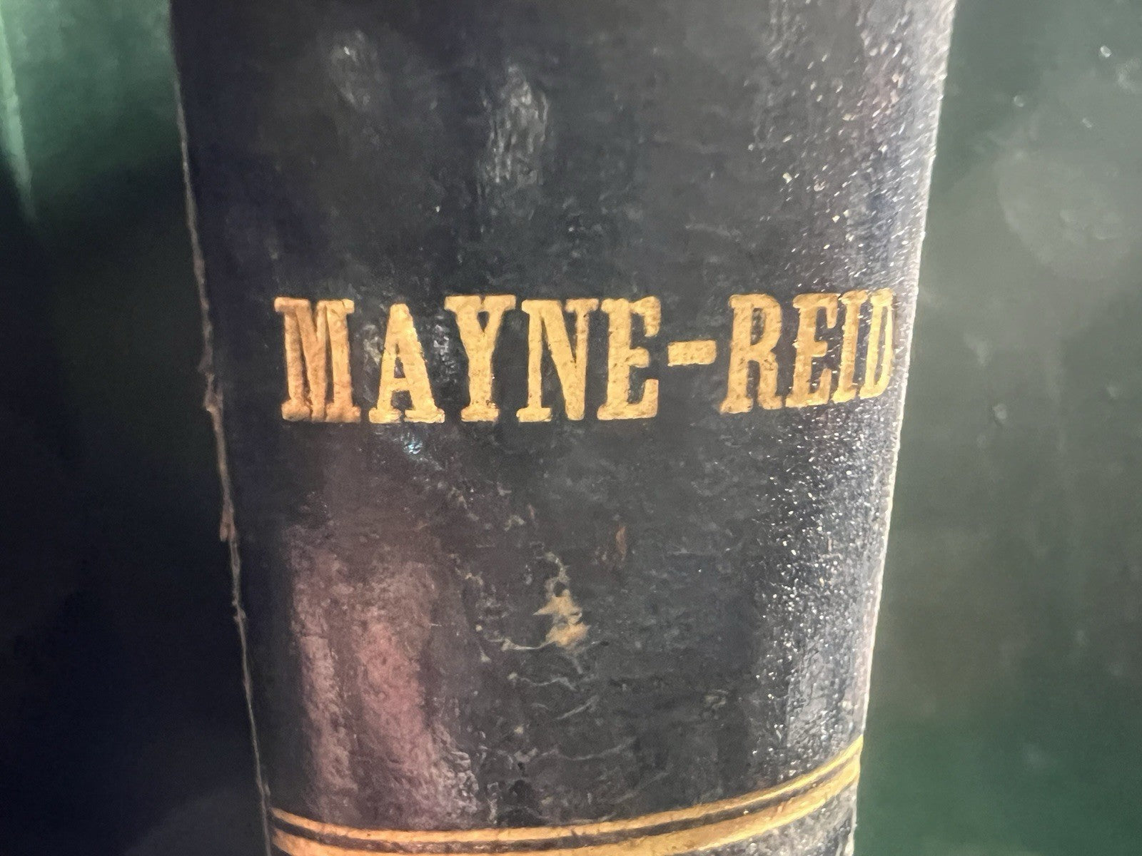 Livre en Mer Mayne Reid En Lingua Italiana Gravure Grand Antique 1877 