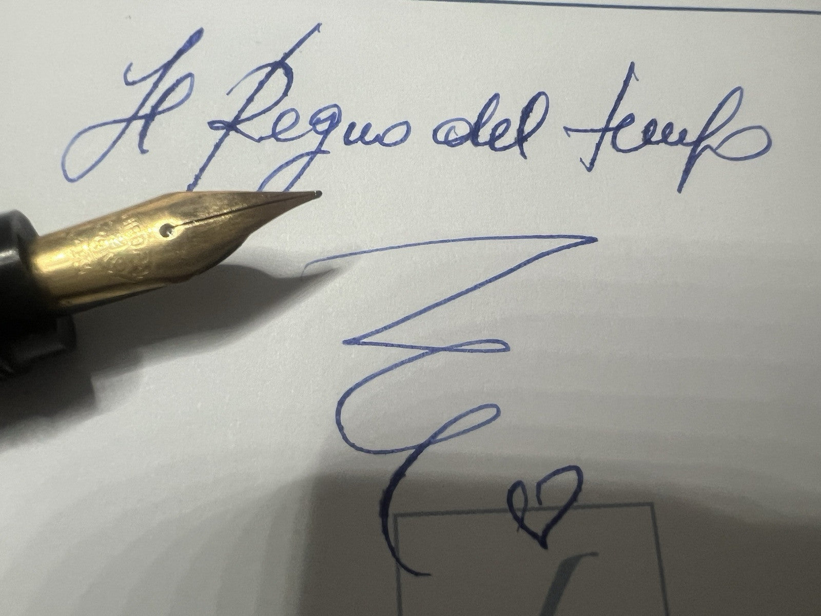 Aurora Stylo-Plume Stylo à Plume Retractable RA3 Clip en Relief Fonctionne Cru 