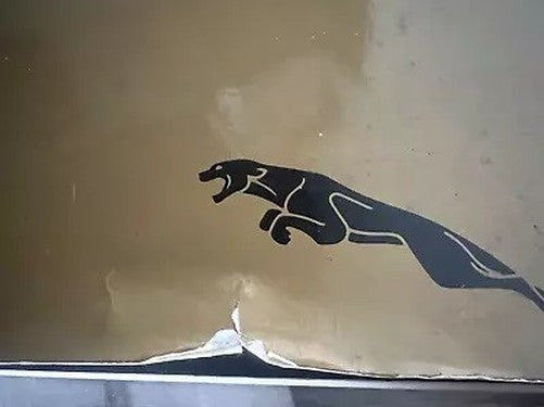 Livre Jaguar Voiture Catalogue Le Charme Nom Piero Casucci 1979 Officiel