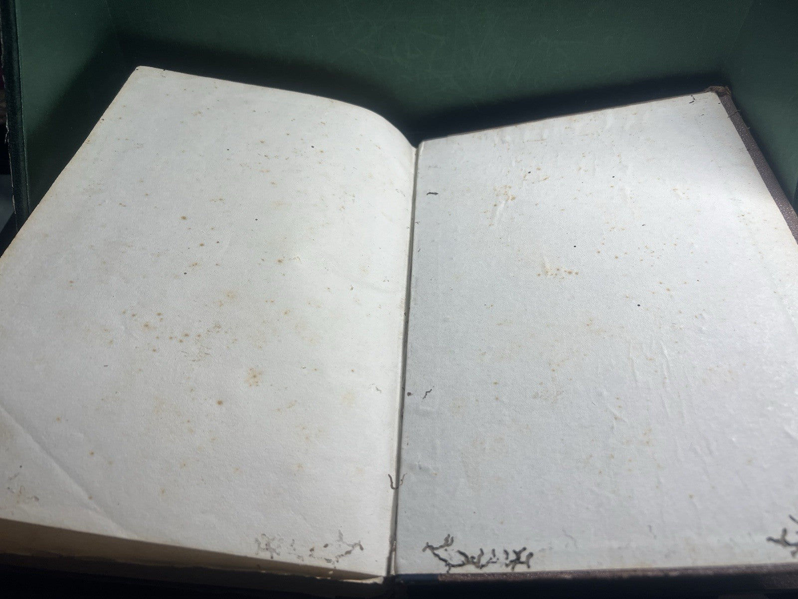 Livre en Mer Mayne Reid En Lingua Italiana Gravure Grand Antique 1877 