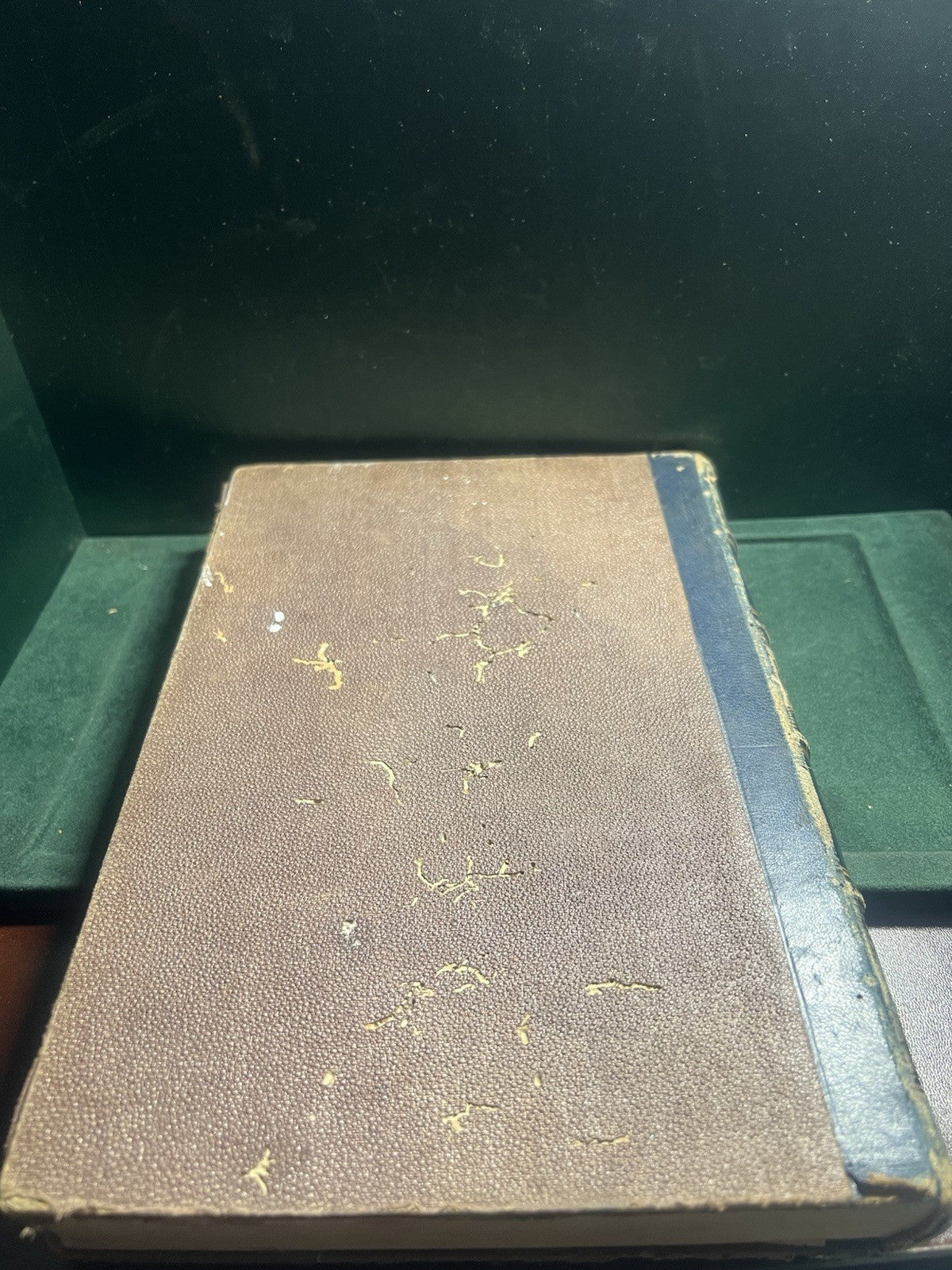 Livre en Mer Mayne Reid En Lingua Italiana Gravure Grand Antique 1877 