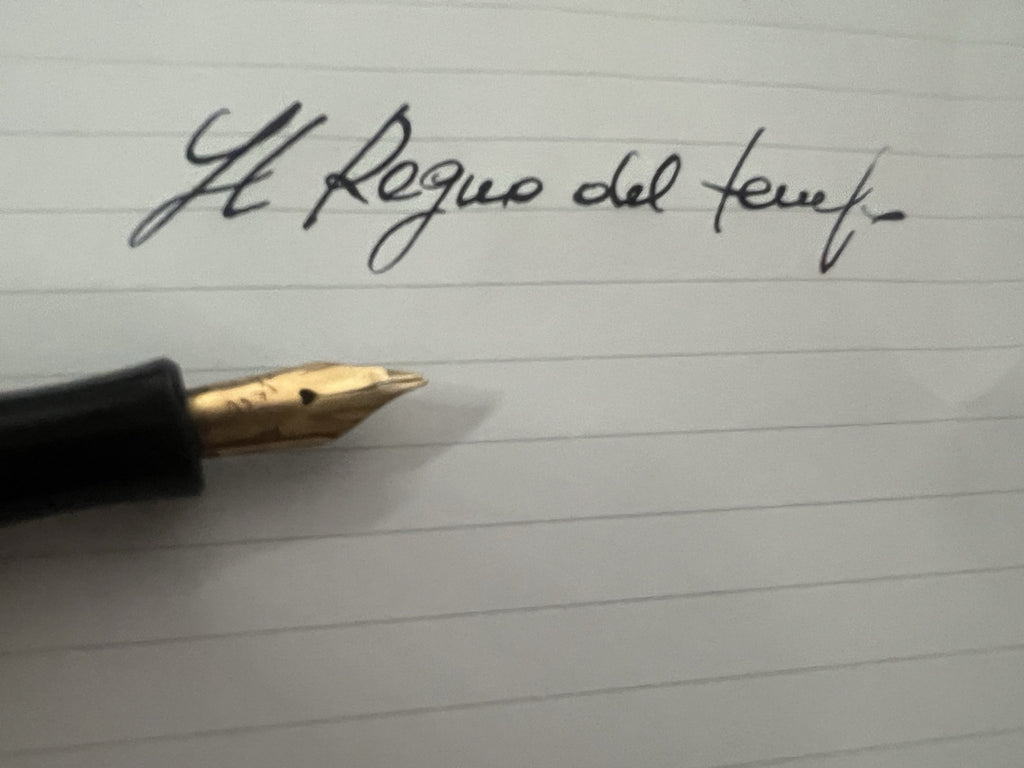 🔴 Penna stilografica ebanite cesellata a leva pennino e bordo ORO 14K vintage