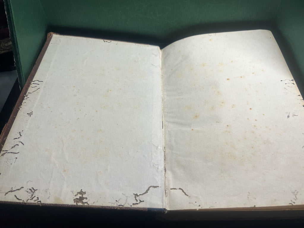 Livre en Mer Mayne Reid En Lingua Italiana Gravure Grand Antique 1877 