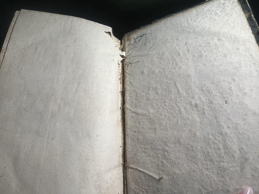 🔴 Libro DIZIONARIO GEOGRAFICO Malte Brun grande formato antico Firenze 1832