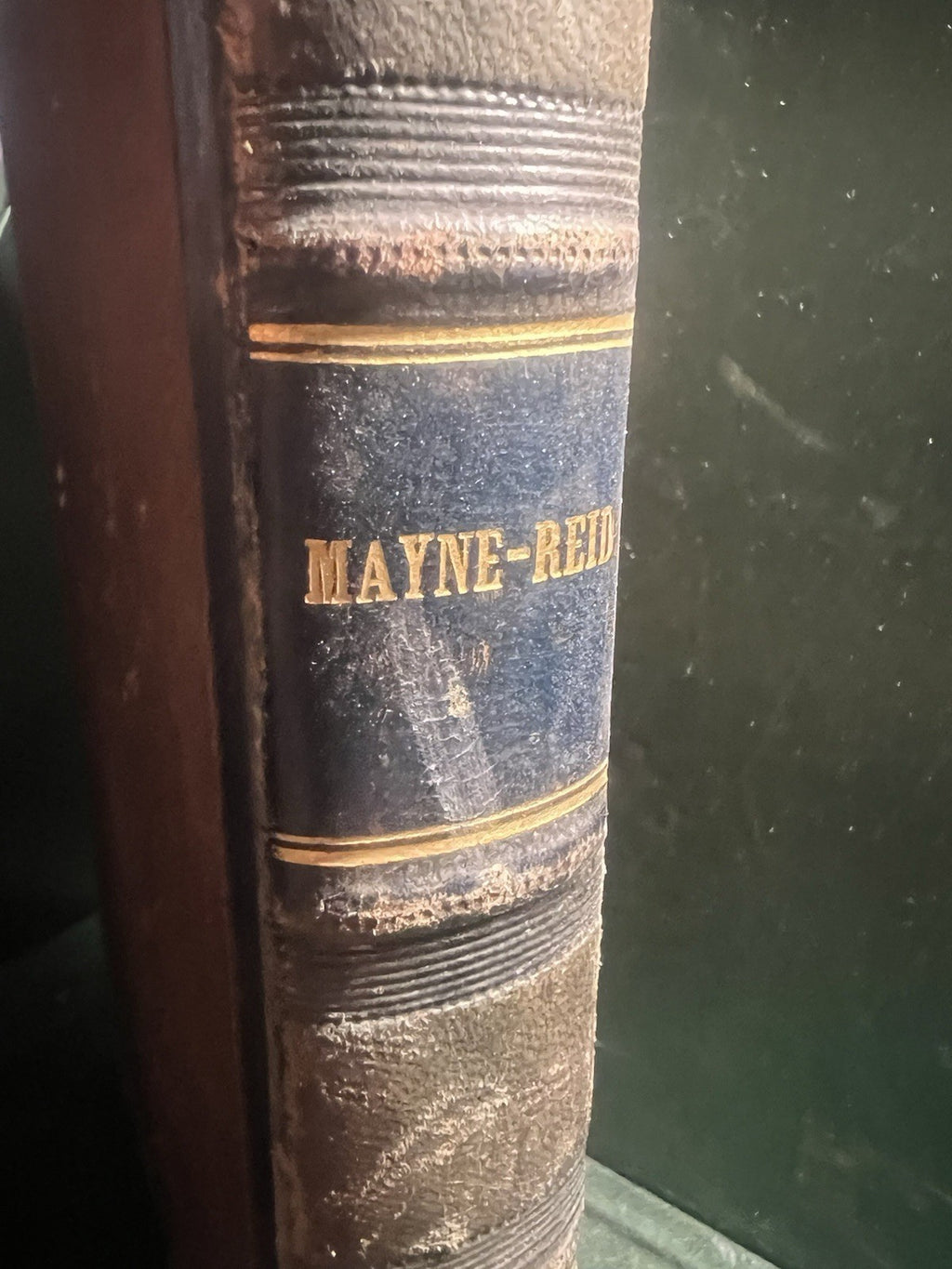 Livre en Mer Mayne Reid En Lingua Italiana Gravure Grand Antique 1877 