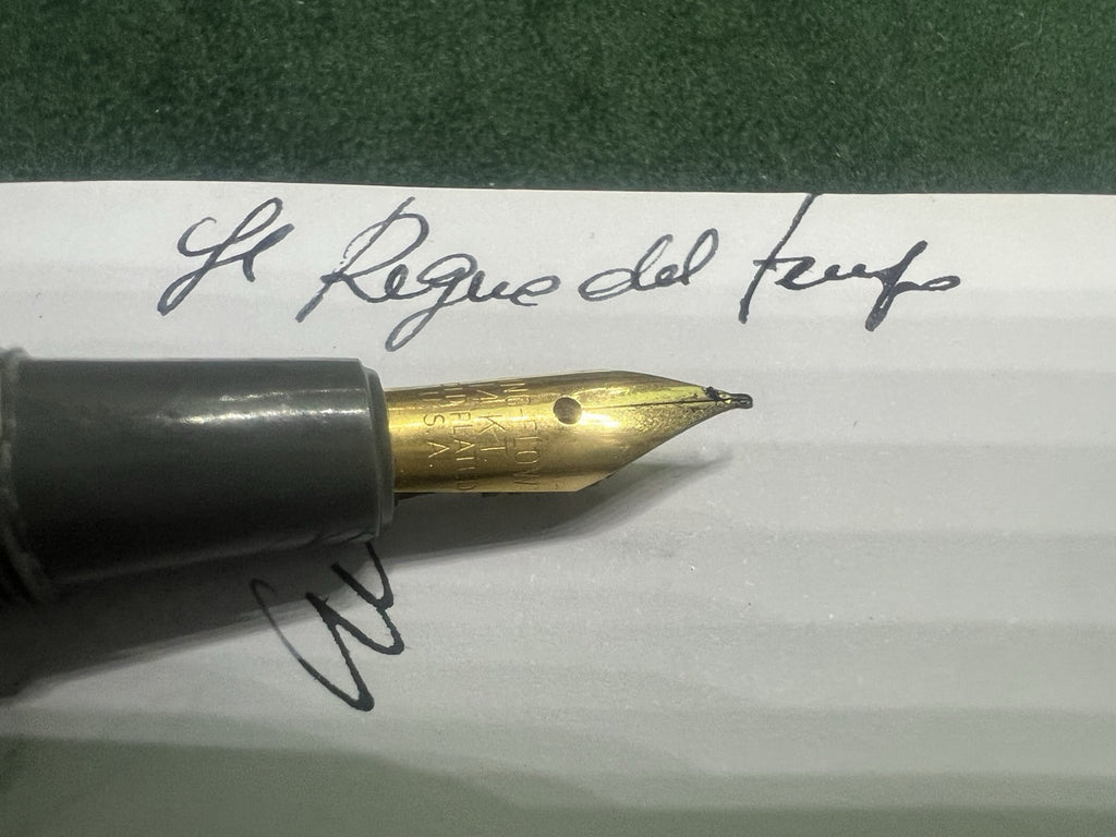 🔴 ELMO penna stilografica by Montegrappa grigia a leva SCRIVE vintage