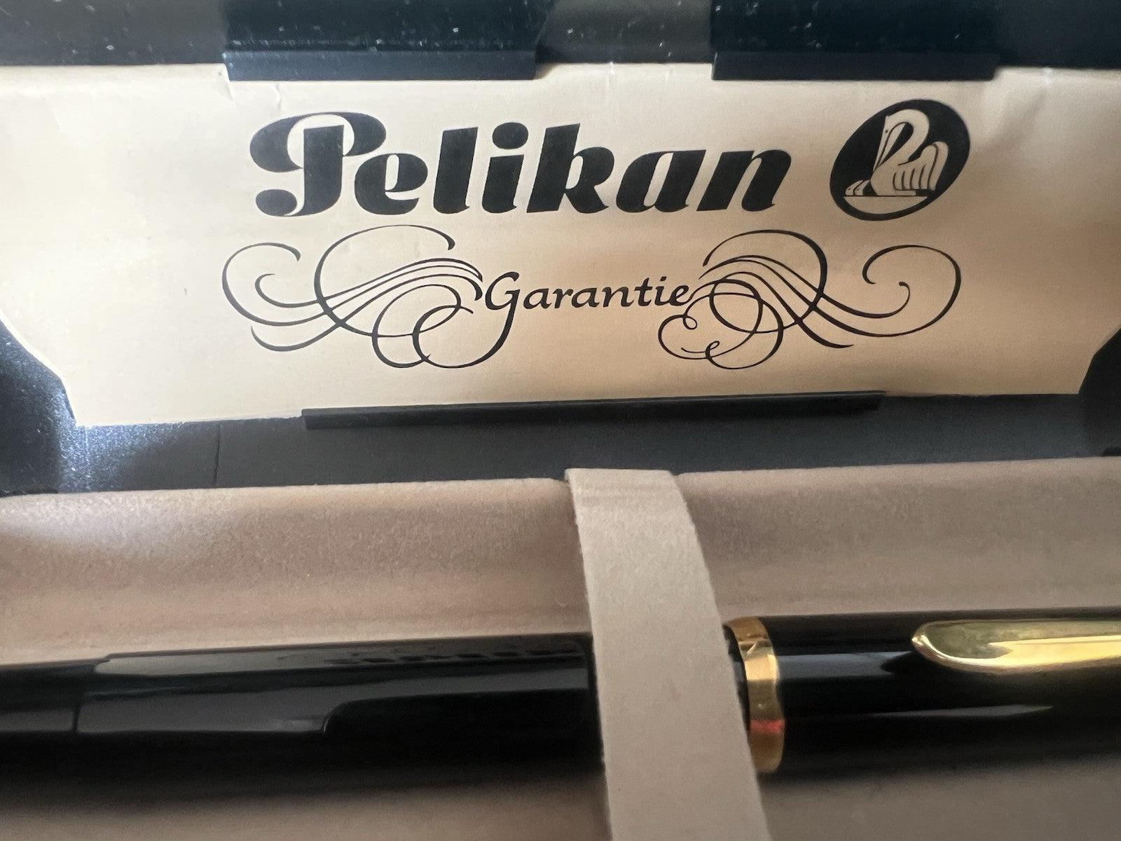 Pelikan Stylo-Plume Stylo à Plume Noire M250 Piston Transparent Om Garantie
